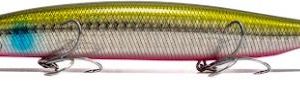 SHIZUOKA BLUE HEAD 140 S