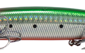 SHIZUOKA CARIBEAN 140 S