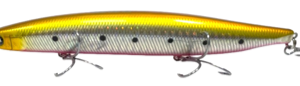 SHIZUOKA ORANGE CANDY 140 S