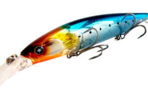 SAKANA FLASH RED SARDINE