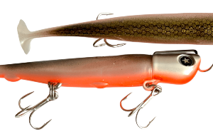 SAKANA SAKANA CANDY TAIL
