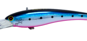 BADFISH -NAKATSU SHINY SARDINE