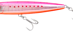 TSURINOYA Topwater Popper DW153 - B